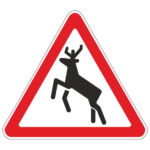 1.27 Дикие животные